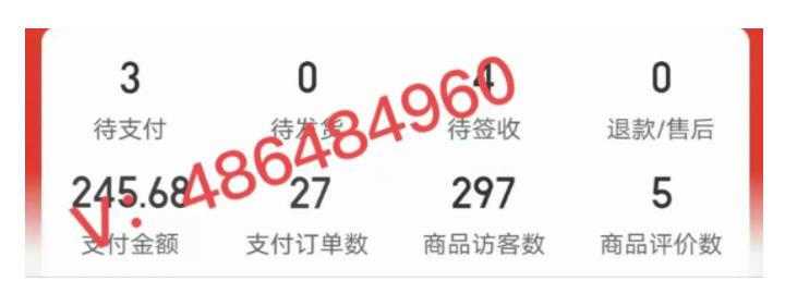 拼多多虚拟开店打卡群:入门到精通(昨日群里有小伙伴3000+)2月26更新