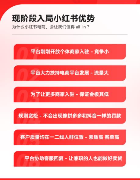 2023小红书电商火爆全网,新晋红利,风口项目,单店收益在3000-30000